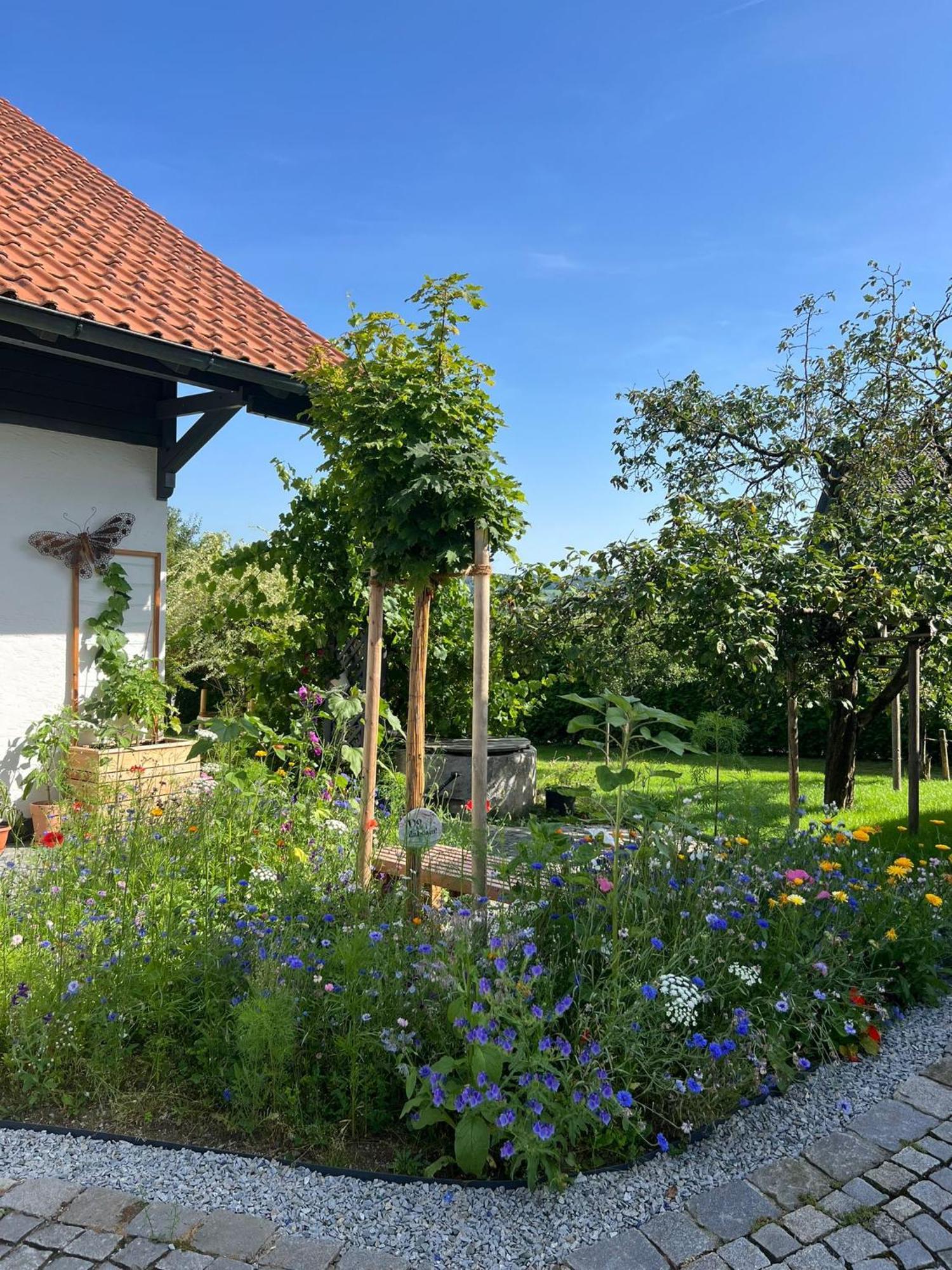 Ferienwohnung Anita Jandelsbrunn 외부 사진
